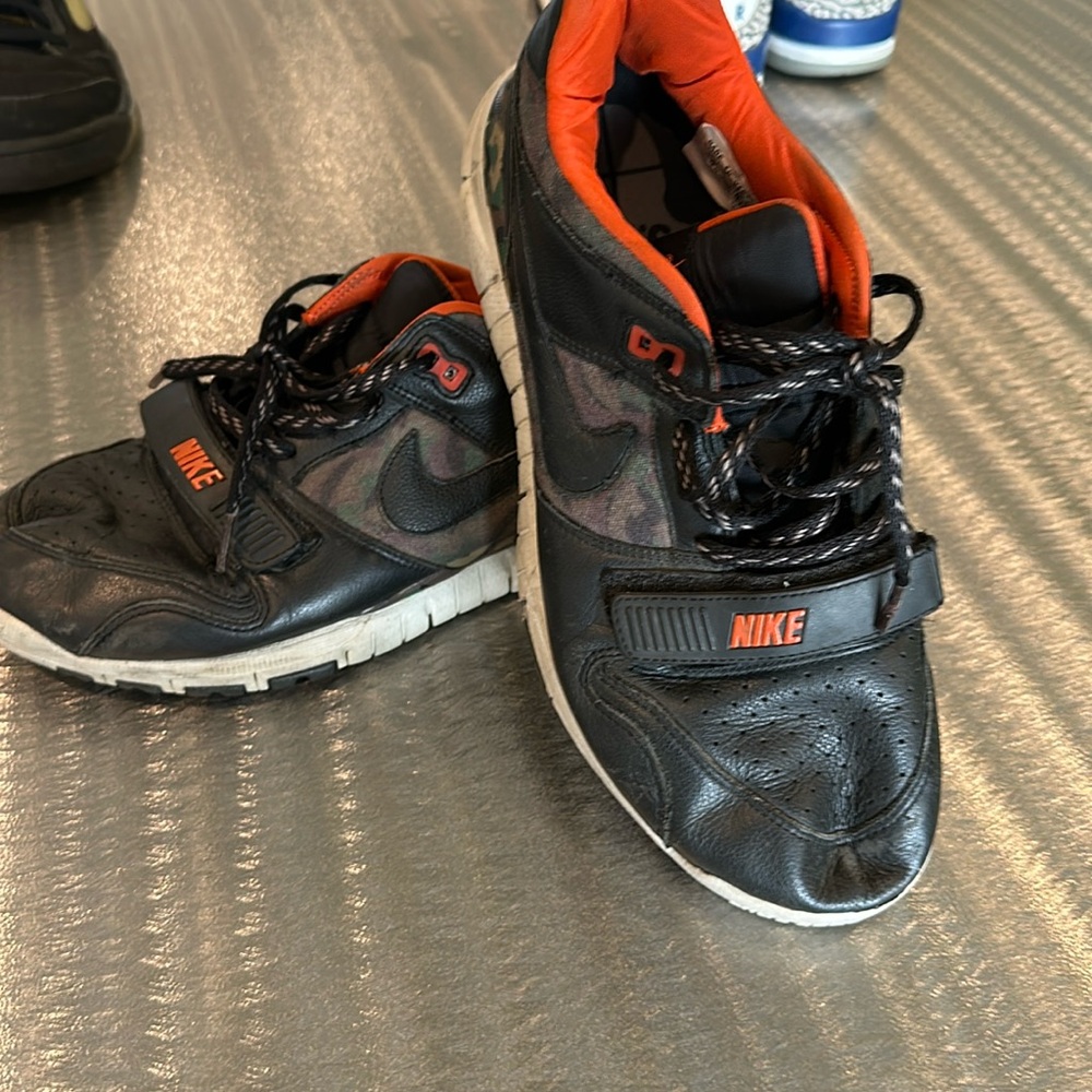 Nike Trainer dunk low